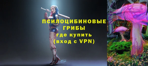 соль курить ск Белокуриха